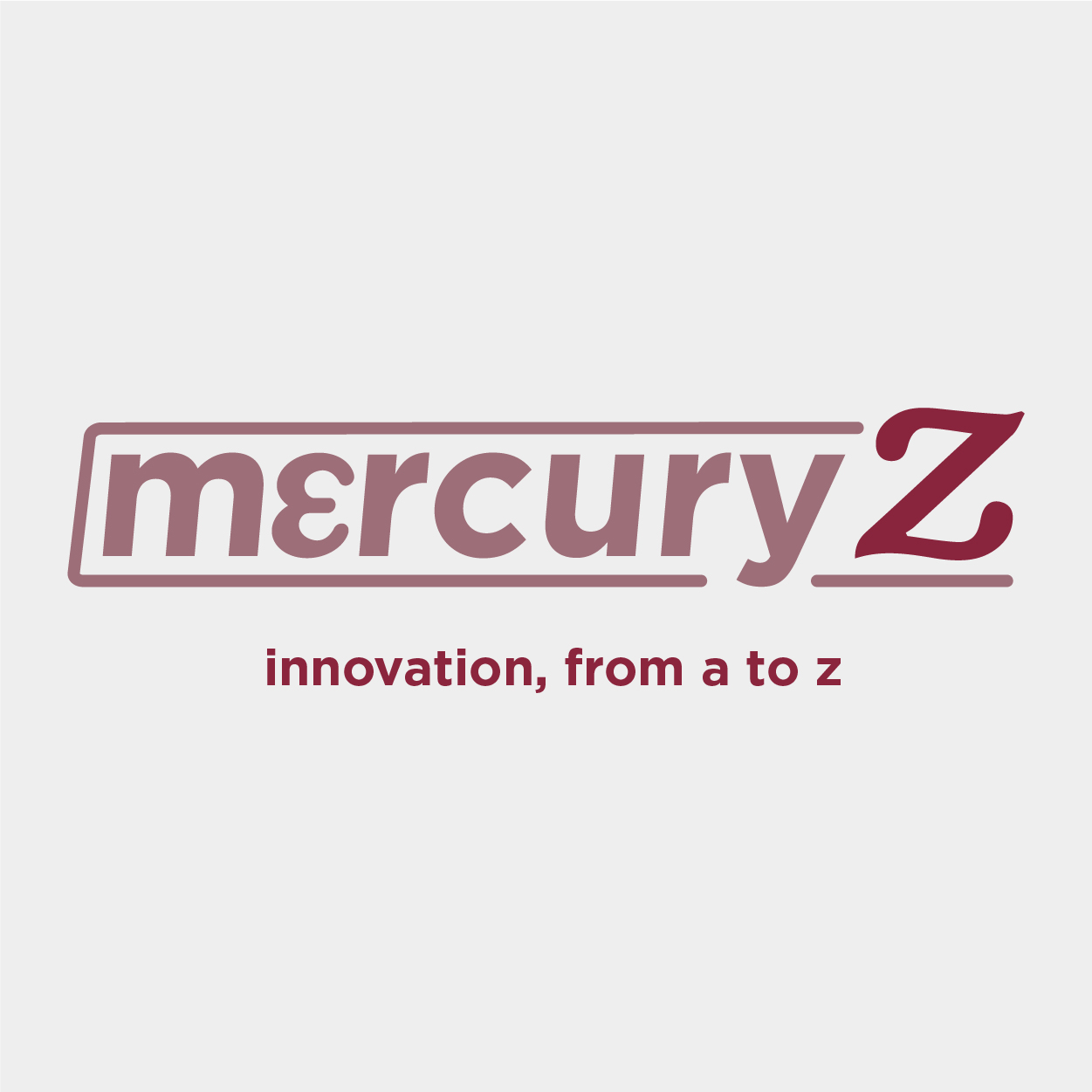 Mercury Z Experts in Networks
